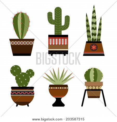 Six cactuses in pots with ornament. eps 10