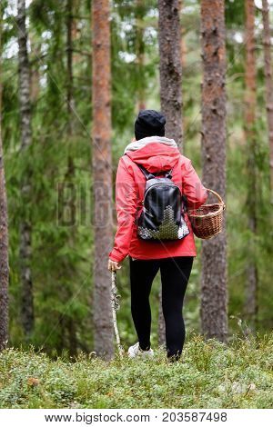 Young Woman In Red Jacket Enjoying Nature In Forest. Latvia