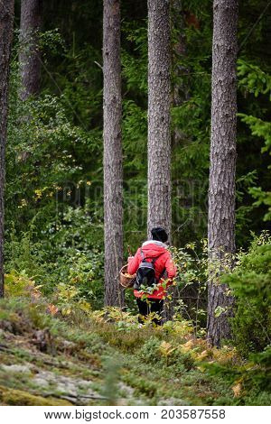 Young Woman In Red Jacket Enjoying Nature In Forest. Latvia
