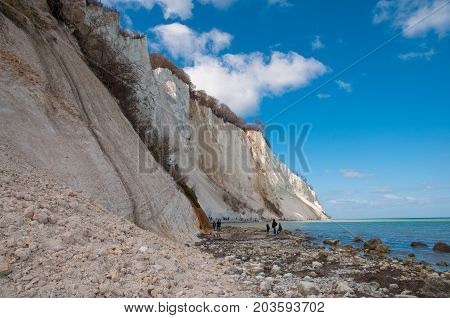 Beautiful Nature of Mons Klint limestone cliffs in Denmark