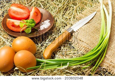 Composition From Vegetables. Composition On Hay And Sacking.