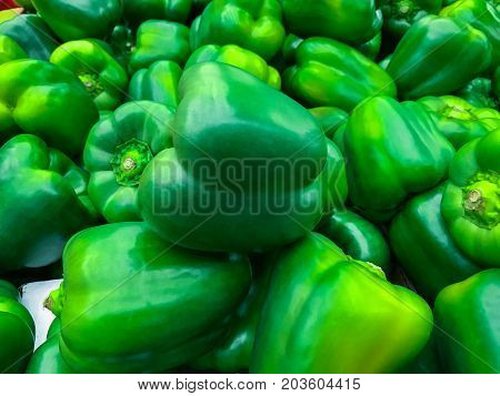 Fresh green peppers on display at the market.