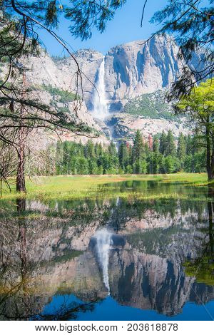 Yosemite Falls Yosemite National Park California State in USA