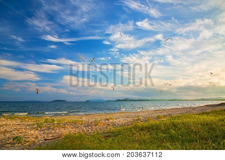 a beach on the sea, sand and waves, seagulls fly over the water. Sunset
