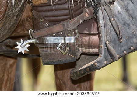 June 10 2017 Toacazo Ecuador: metal spur on leather boot worn at the rodeos
