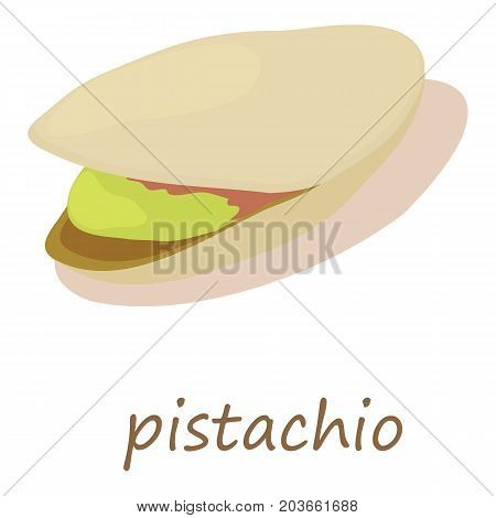 Pistachio icon. Isometric illustration of pistachio vector icon for web