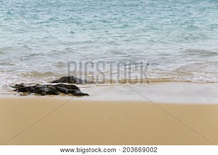 Peaceful beach. Close up of beach for background and texture.