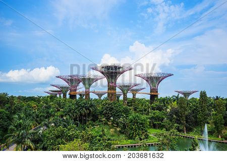 Gardens By The Bay At Singapore