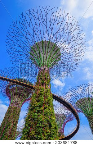 Gardens By The Bay At Singapore