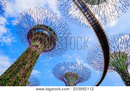 Gardens By The Bay At Singapore