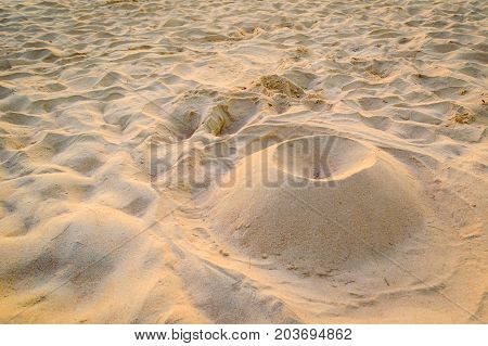 Fine Beach Sand Structure In The Summer Sun