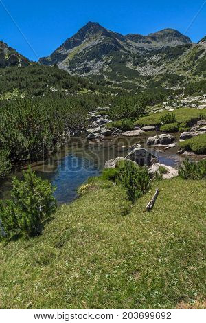 Amazing landscape with Valyavitsa river and Valyavishki chukar peak, Pirin Mountain, Bulgaria