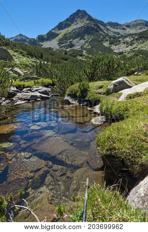 Amazing landscape with Valyavitsa river and Valyavishki chukar peak, Pirin Mountain, Bulgaria