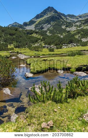 Amazing landscape with Valyavitsa river and Valyavishki chukar peak, Pirin Mountain, Bulgaria