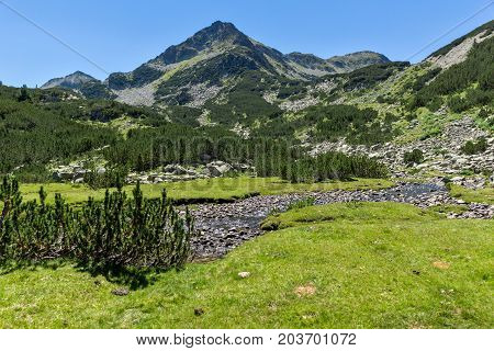 Amazing landscape with Valyavitsa river and Valyavishki chukar peak, Pirin Mountain, Bulgaria