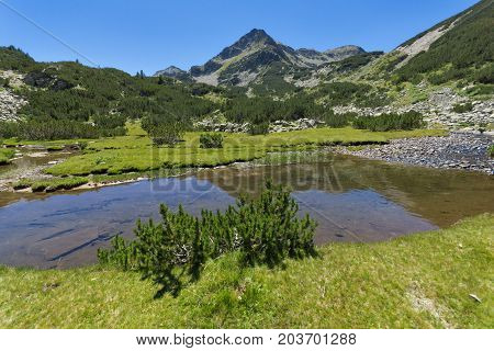 Amazing landscape with Valyavitsa river and Valyavishki chukar peak, Pirin Mountain, Bulgaria