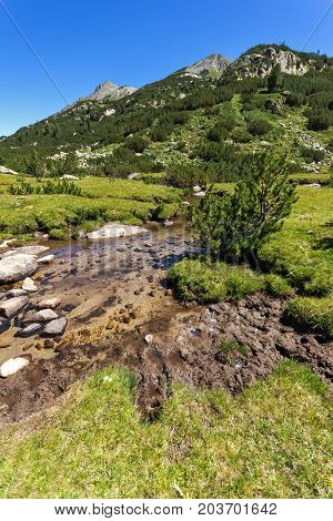 Amazing landscape with Valyavitsa river and Valyavishki chukar peak, Pirin Mountain, Bulgaria