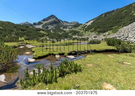 Amazing landscape with Valyavitsa river and Valyavishki chukar peak, Pirin Mountain, Bulgaria