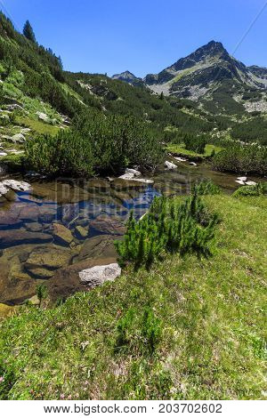 Amazing landscape with Valyavitsa river and Valyavishki chukar peak, Pirin Mountain, Bulgaria