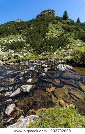 Amazing landscape with Valyavitsa river, Pirin Mountain, Bulgaria
