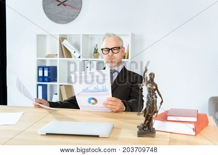 Mature Lawyer Reading Documents
