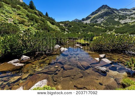 Amazing landscape with Valyavitsa river and Valyavishki chukar peak, Pirin Mountain, Bulgaria