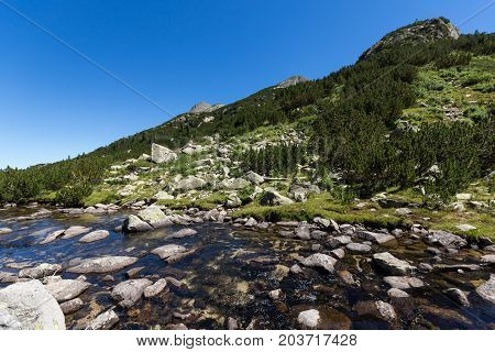 Amazing landscape with Valyavitsa river and Valyavishki chukar peak, Pirin Mountain, Bulgaria