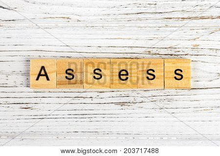 ASSESS word made with wooden blocks concept
