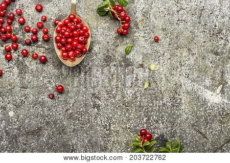 Fresh northern cranberries on a gray stone background in a vintage cupronickel spoon with twigs and leaves. Top View