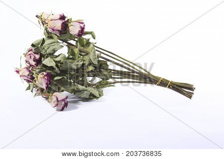 Bouquet of old and dry roses lyng horisontal