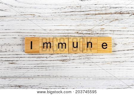 IMMUNE word made with wooden blocks concept