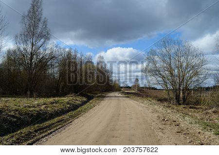 Country Road In Forest