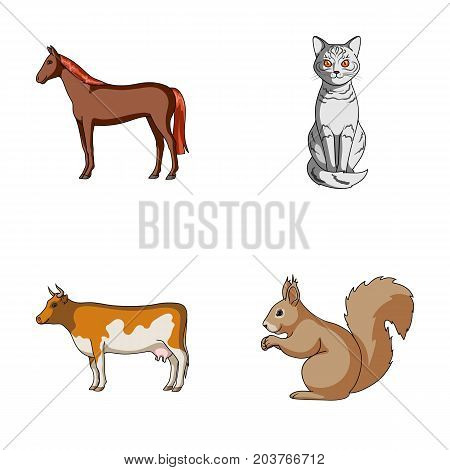 Horse, cow, cat, squirrel and other kinds of animals.Animals set collection icons in cartoon style vector symbol stock illustration .
