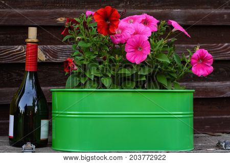 Bottle of red wine with cork and petunias Bush flowers in green bowl on wooden background wall.