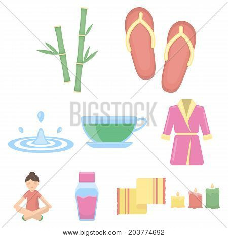 Spa set icons in cartoon style. Big collection of spa vector symbol stock