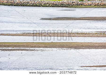 La Malbaie, Canada Saint Lawrence River In Charlevoix Region In Quebec With Flock Of Many Wildlife S