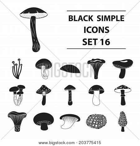 Mushroom set icons in black style. Big collection mushroom vector symbol stock