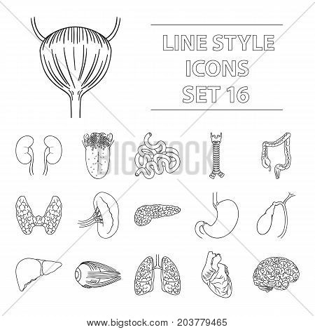 Human organs set icons in outline design. Big collection of human organs vector symbol stock illustration