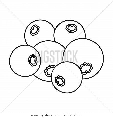 Blueberry berries, sweet fruit. Fruit single icon in outline style vector symbol stock illustration .