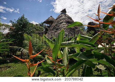 June 6 2017 Misahualli Ecuador: buildings made of bamboo in the Amazon area
