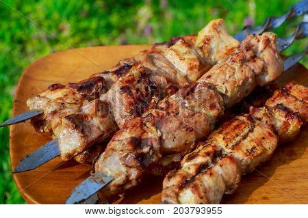 Closeup Of Some Meat Skewers Being Grilled Barbecue