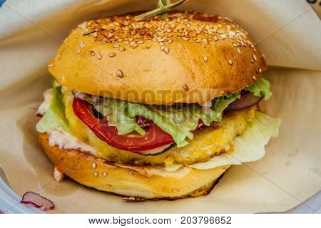 Hamburger with salsd and tomato. close up view