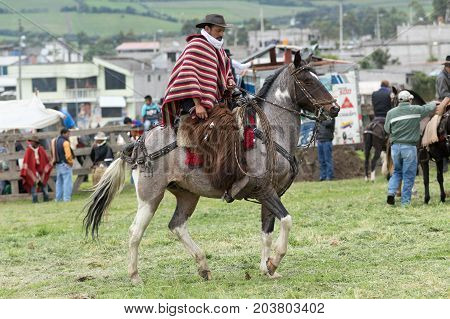 June 3 2017 Machachi Ecuador: cowboy wearing furry chaps and traditional striped poncho on horseback