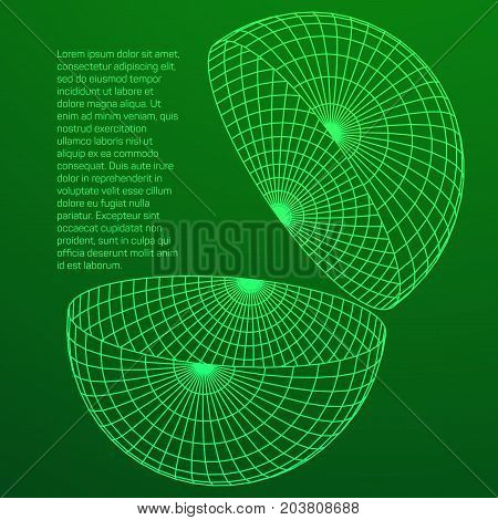 Wireframe Mesh Vector & Photo (Free Trial) | Bigstock