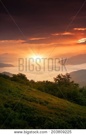 beautiful  summer sunrise landscape in the mountains, Europe travel, national park, wonderful world, wallpaper background landscape