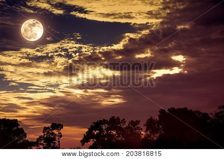 Night landscape of sky with dark cloudy and full moon above silhouettes of trees. Serenity nature background in gloaming time. Sepia tone. The moon taken with my own camera.