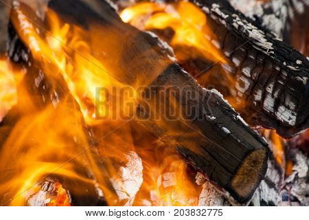 Fire flames background. Firewood is burning in the grill in the open air.