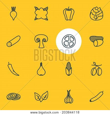 Editable Pack Of Sativum, Cauliflower, Tomato Slice And Other Elements.  Vector Illustration Of 16 Food Icons.