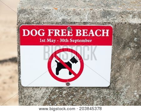 Dog Free Beach Red And White Sign On Wall Beach Dovercourt Harwich