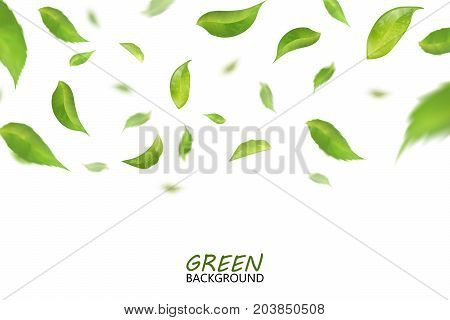 Falling fresh flying green leaves, quality 3d imitation. Vector